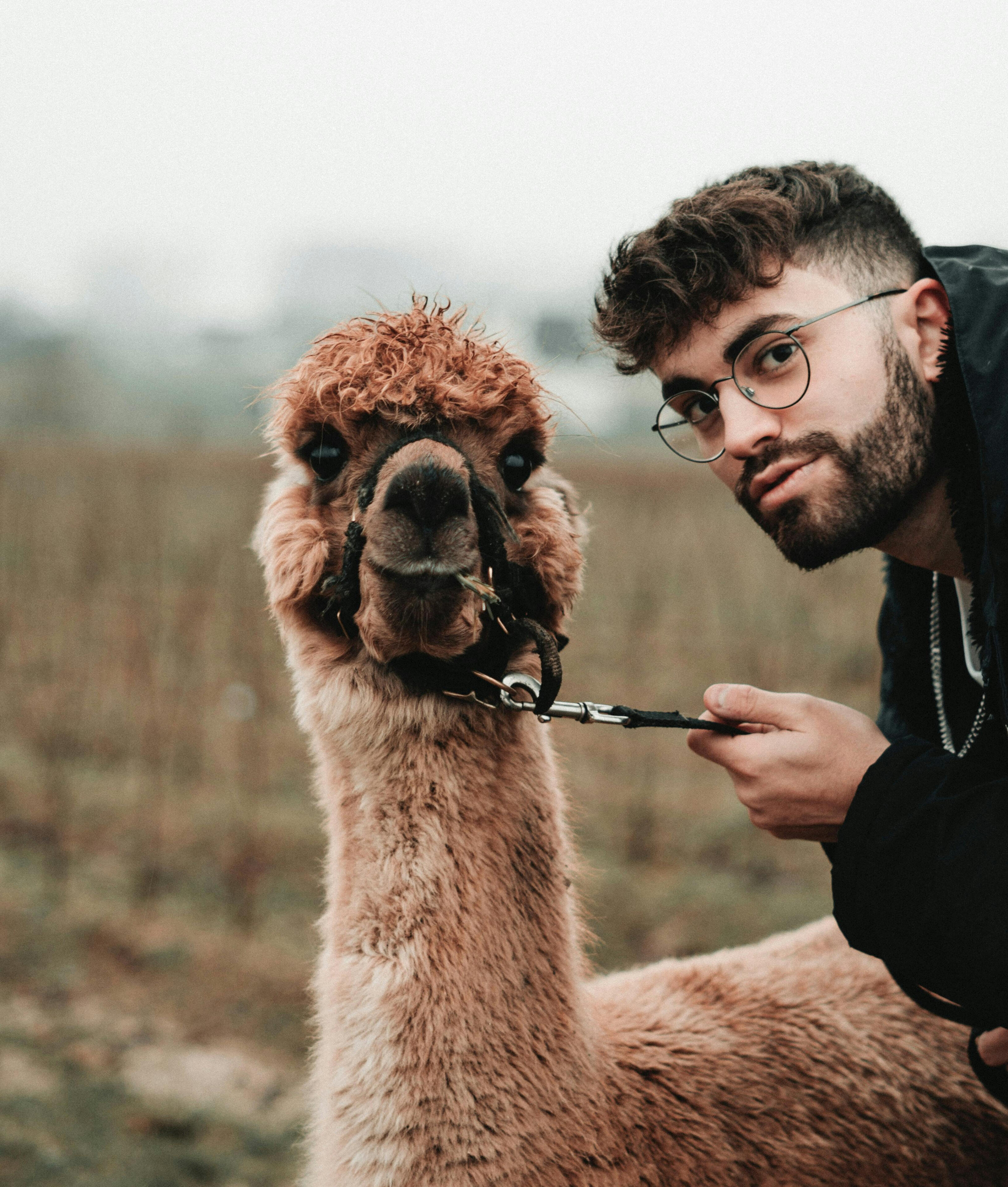 Aperitivo con gli Alpaca Umbria