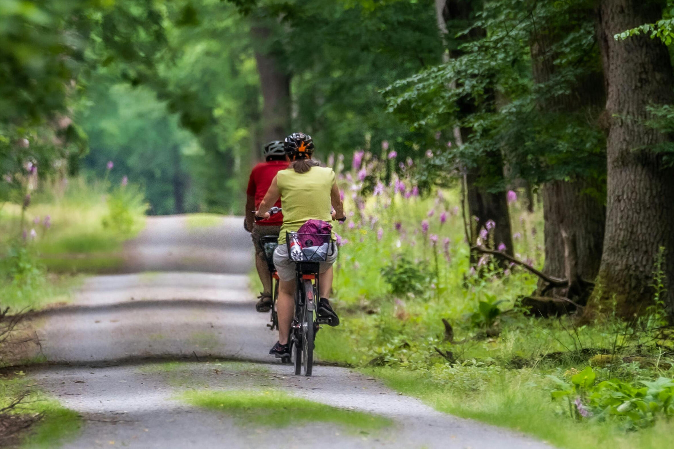 Tour in bici Umbria Alpaca